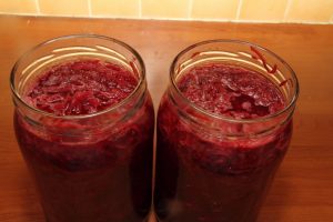 BORSCHT FERMENTÉ