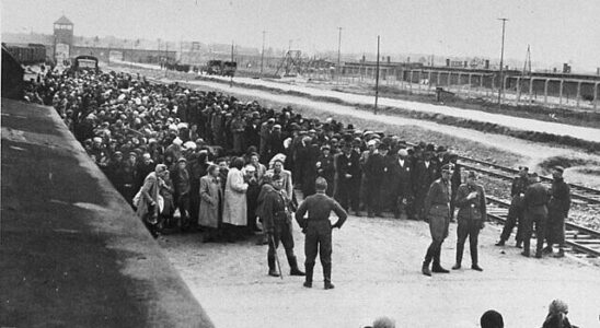 arrivée d'un convoi de Juifs hongrois à Auschwitz en 1944